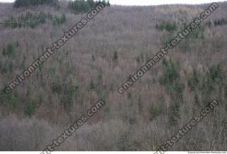 Photo Textures of Nature Mixed